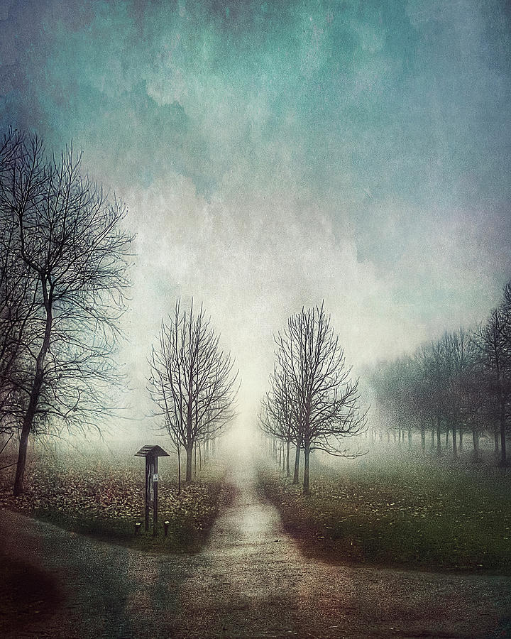 Misty landscape Photograph by Roberto Pagani