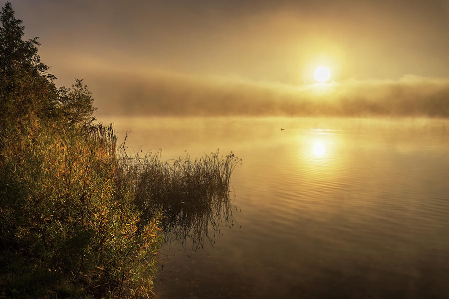 Misty Late October Sunrise M1A5883 Photograph by Greg Hartford