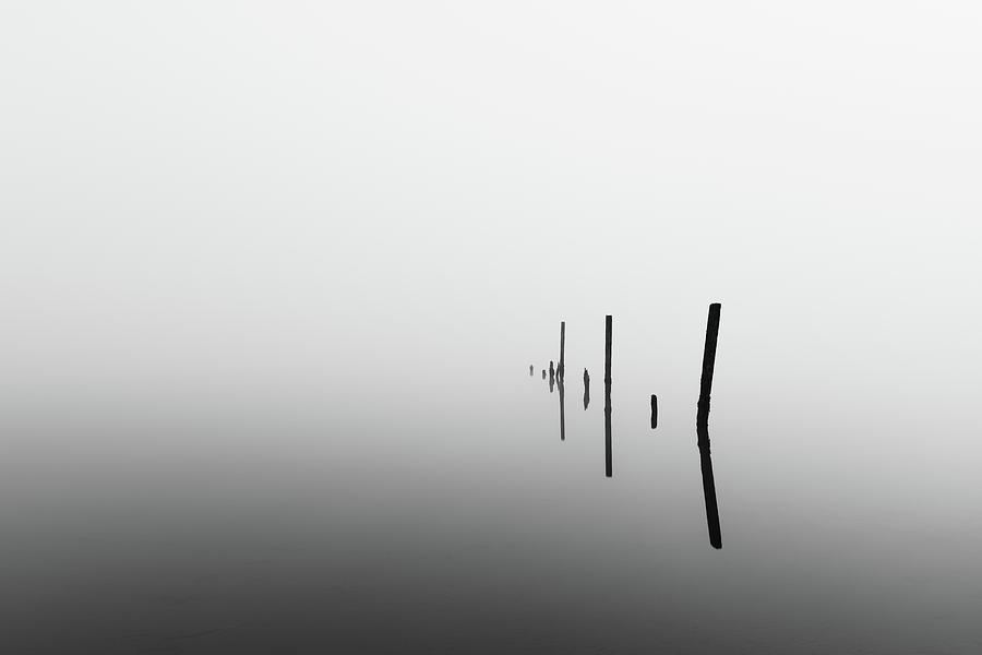 Misty Loch Posts Photograph by Grant Glendinning