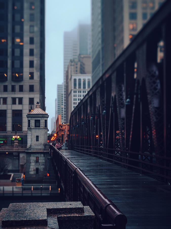 Misty Moody Chicago Photograph by Nisah Cheatham