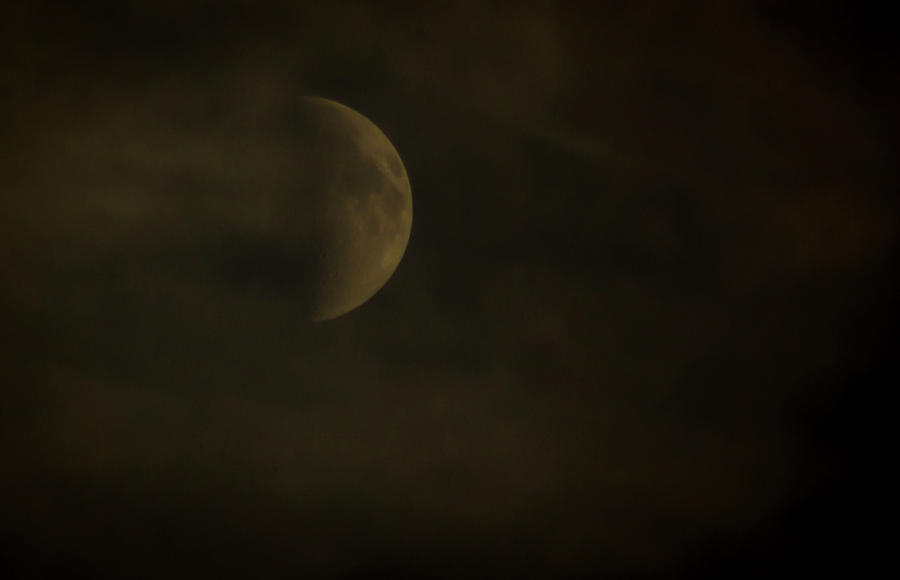 Misty Moon Photograph by Gregg Ott