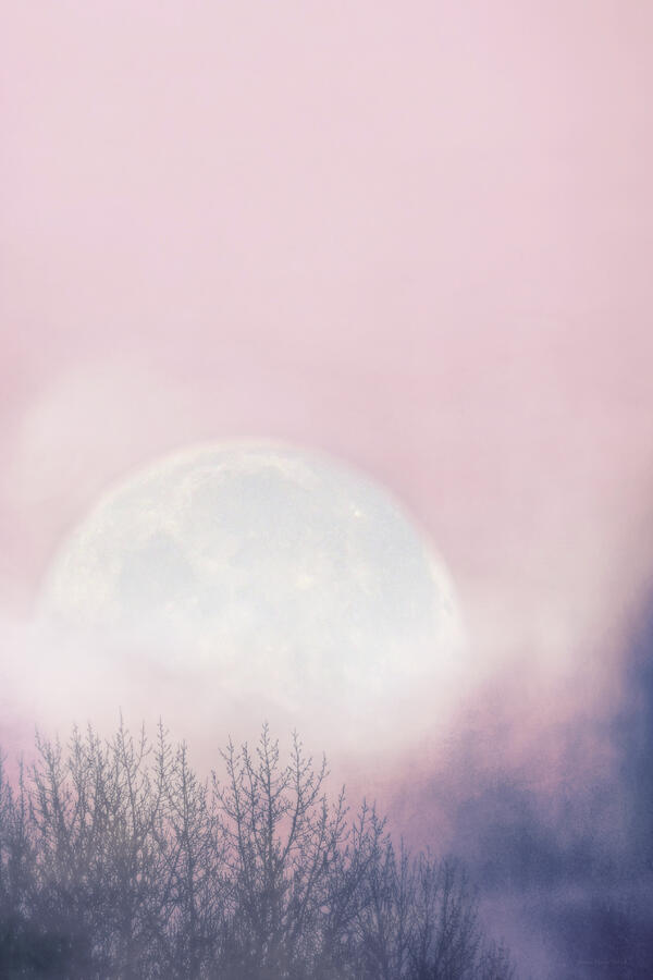 Misty Moon Rising Photograph by Jennie Marie Schell
