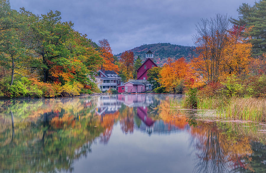 Misty Morning at Grist Mill Pond Photograph by Penny Polakoff