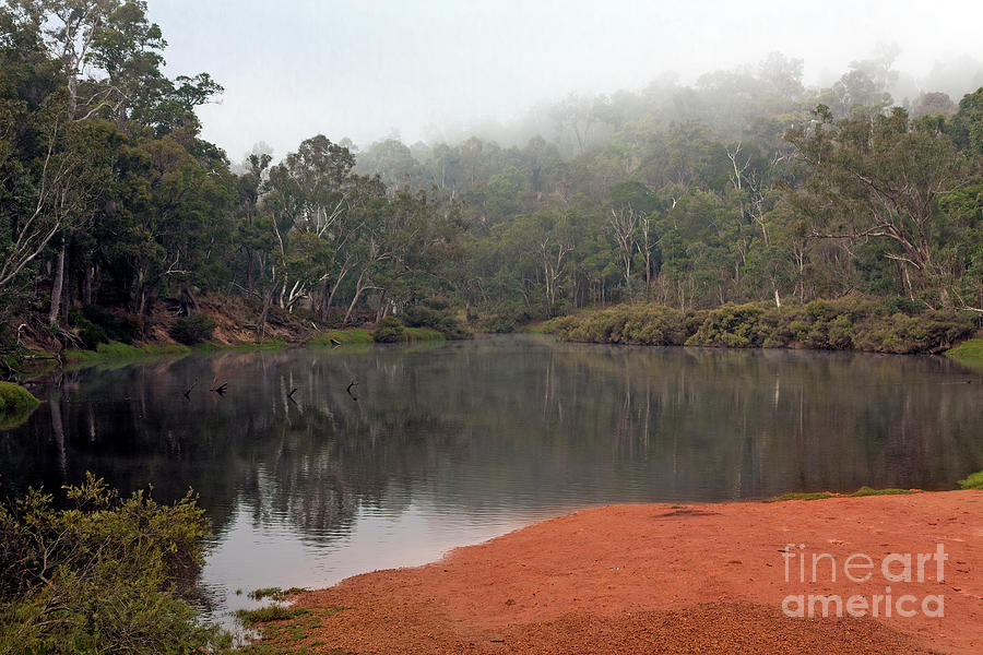 Misty Morning, Bridgetown. Western Australia Photograph by Elaine Teague