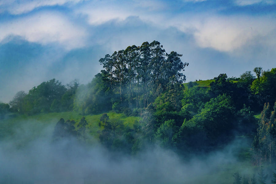 Misty Morning Cloudscape Photograph by Chris Lord