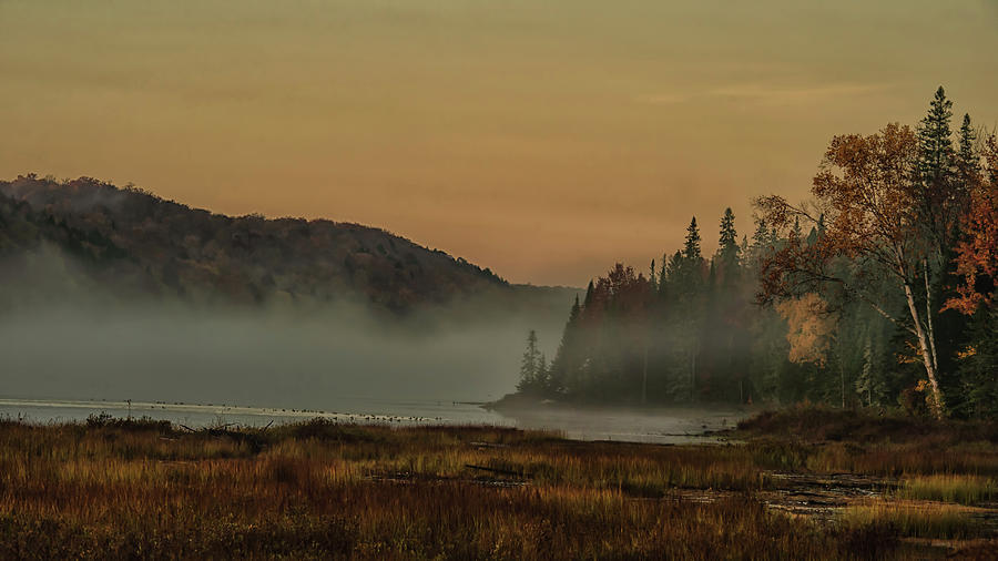 Misty Morning Photograph by CR Courson