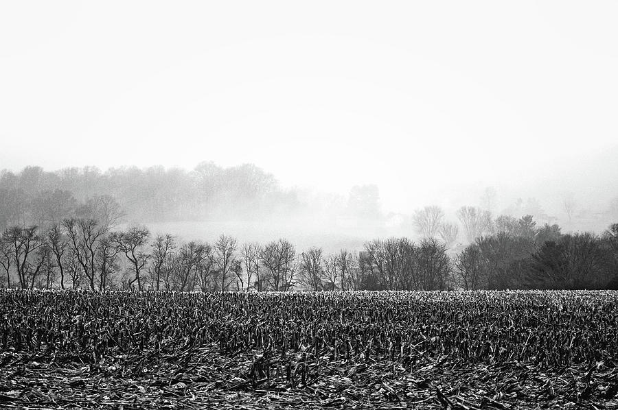 Misty Morning Farmland Photograph by Susan Maxwell Schmidt