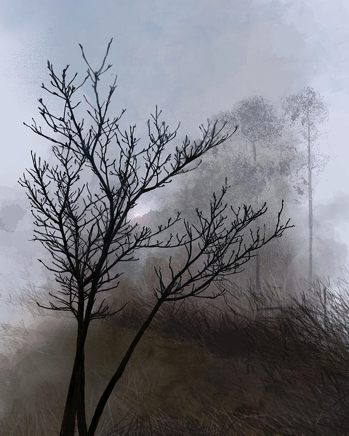 Misty Morning Digital Art by Gina Harrison