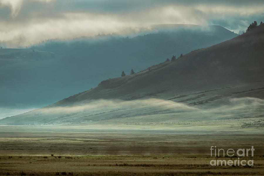 Misty Morning - Grand Teton National Park Photograph by Sandra Bronstein