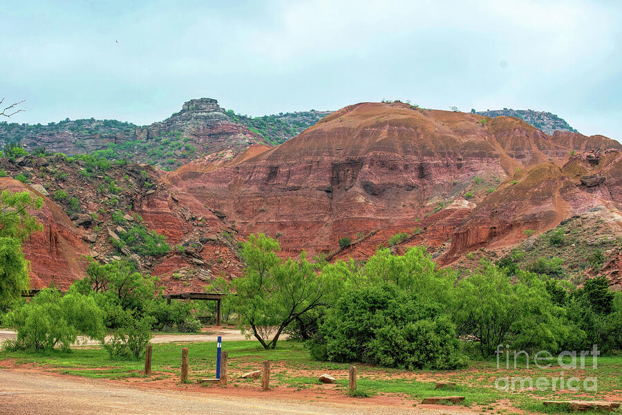 Nature Photograph - Misty Morning Hike- Palo Duro  by Diana Mary Sharpton