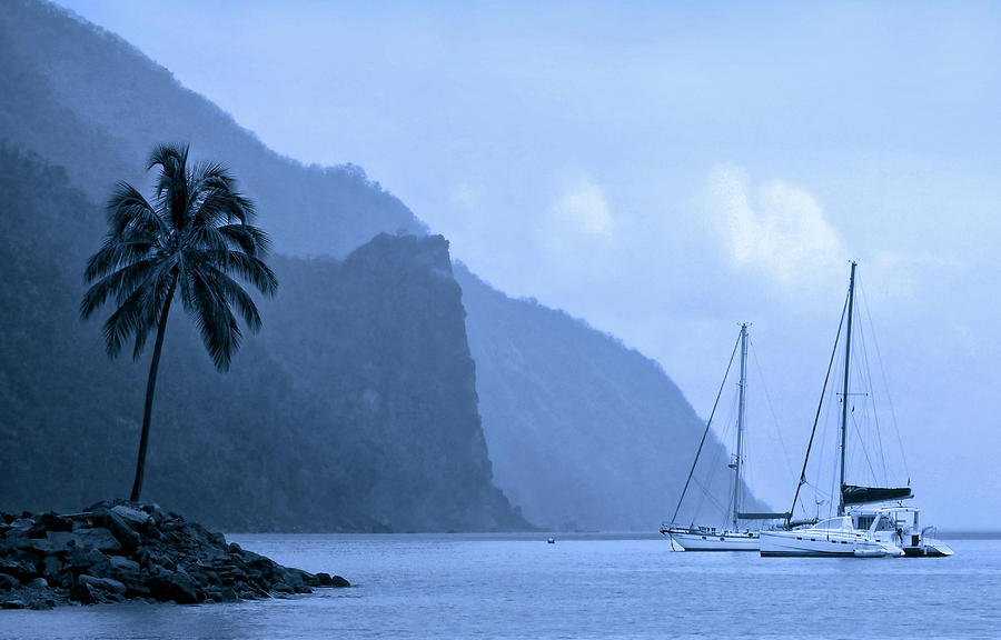 Misty Morning in Paradise Photograph by Carolyn Derstine