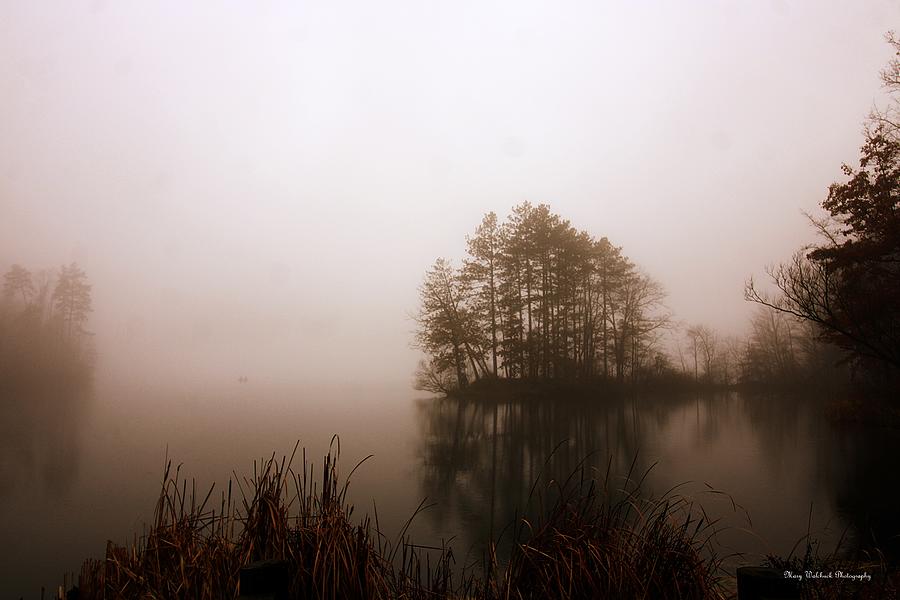 Misty Morning Photograph by Mary Walchuck