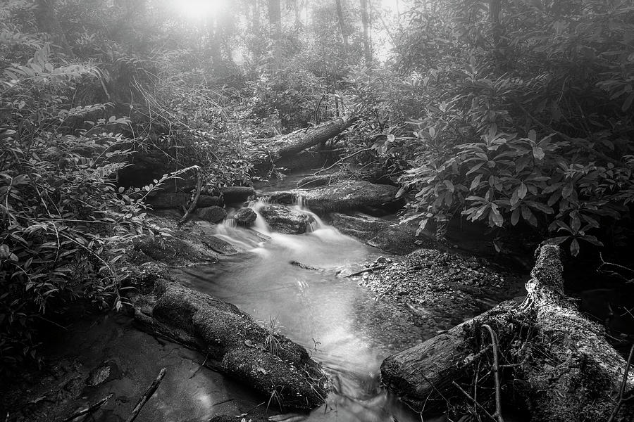 Misty Morning Mountain Stream Photograph by Bob Decker