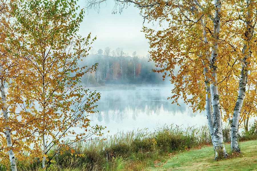 Misty Morning on Autumn Pond Photograph by Jeff Folger