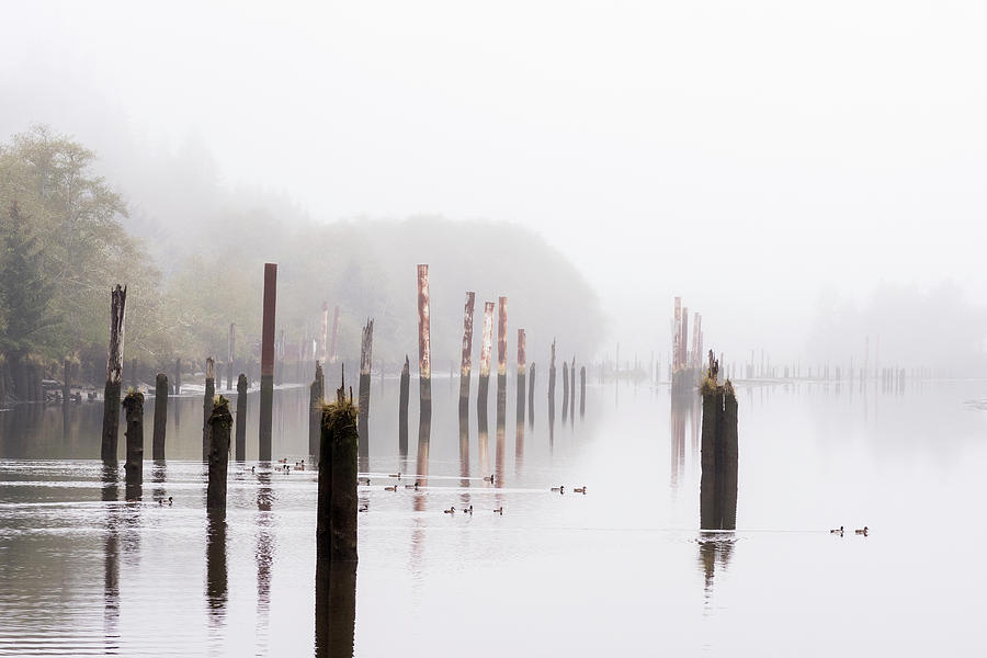Misty Morning on Netul River Photograph by Robert Potts