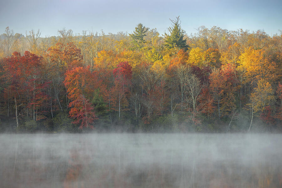 Misty Morning On Price Lake Photograph by Dodie Ross Misty Morning On Price Lake Photograph by Dodie Ross
