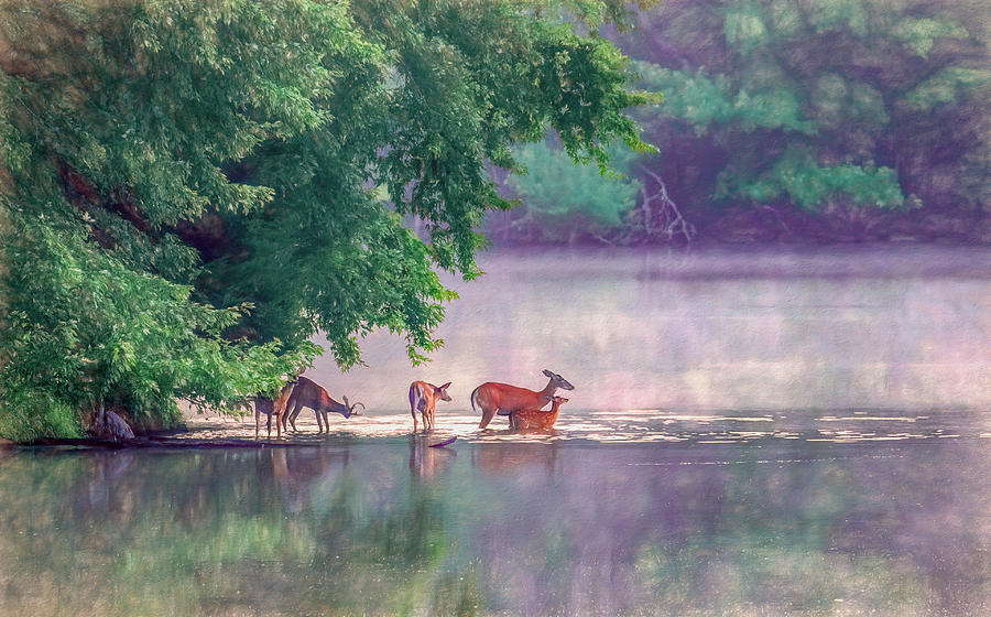 Misty Morning on Radnor Lake, Painterly Photograph by Marcy Wielfaert