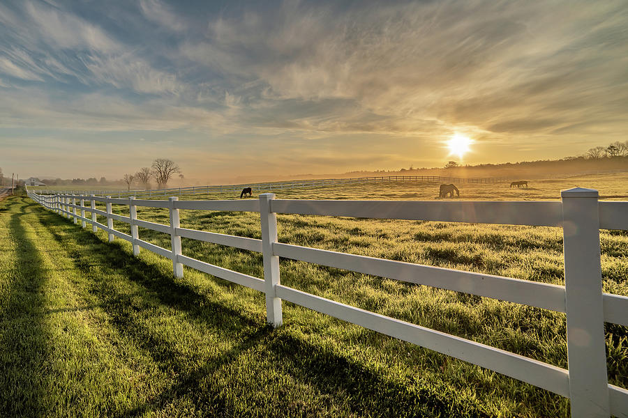 Misty Morning on the Farm Photograph by Angela Ostlund - Fine Art America