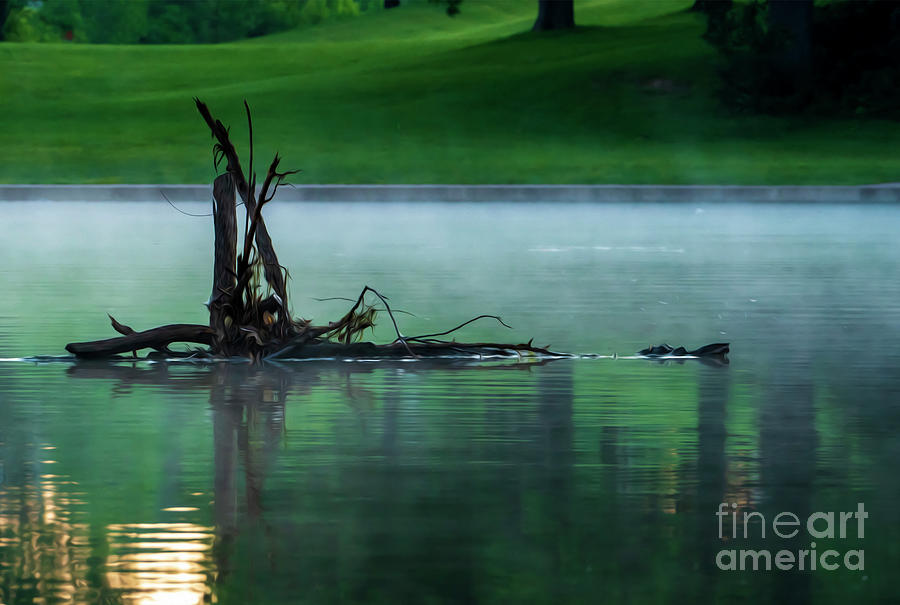 Misty Morning on the Pond Photograph by Sandra Js