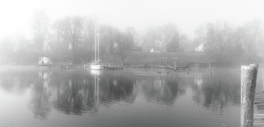Misty Morning On Whites Cove Photograph by Brian Wallace