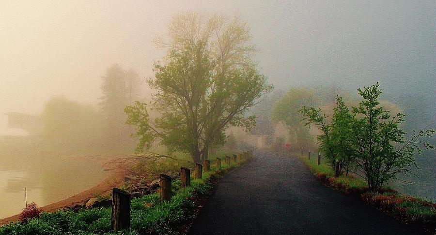Misty Morning Path Photograph by Thomas McGuire