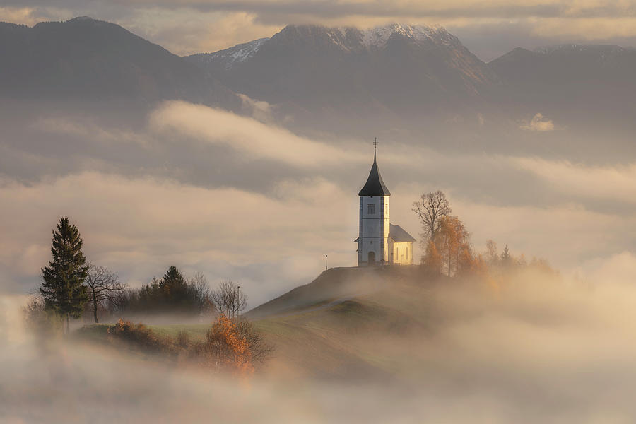 Misty morning Photograph by Piotr Skrzypiec