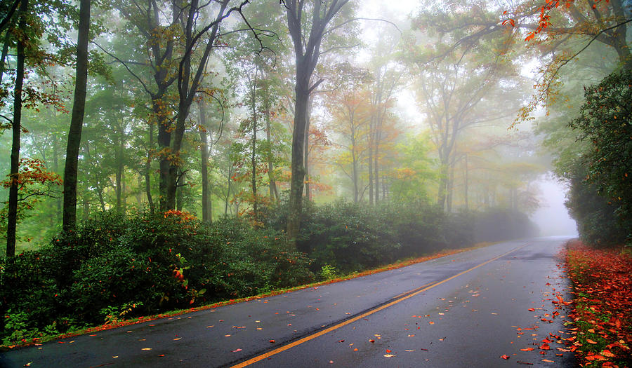 Misty Morning Photograph by Robert Harris