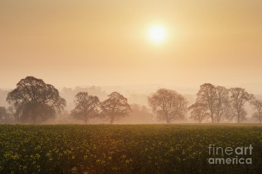 Misty Morning Spring Sunrise in Oxfordshire Photograph by Tim Gainey