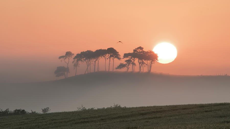 Misty Morning Sunrise Photograph by Veli Bariskan