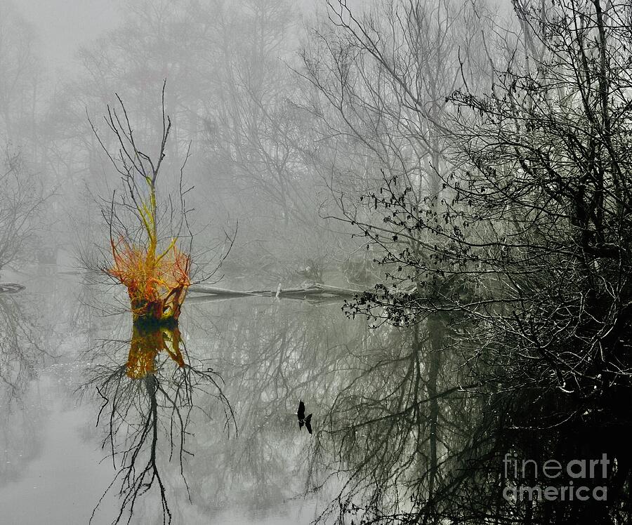 Tree Photograph - Misty Morning  by Tony James Williams