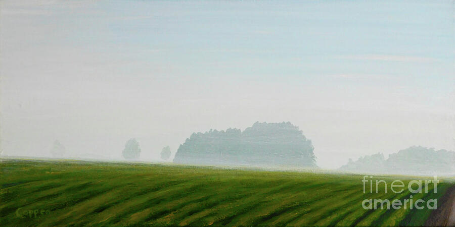 Misty Morning View from Marshall Road Painting by Robert Coppen