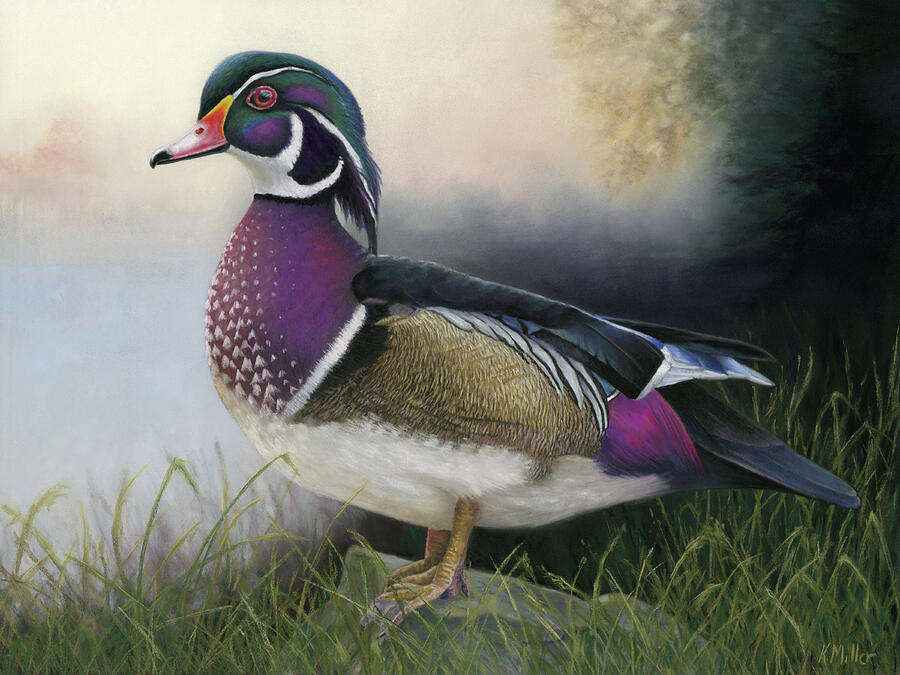 Misty Morning - Wood Duck Pastel by Kathie Miller