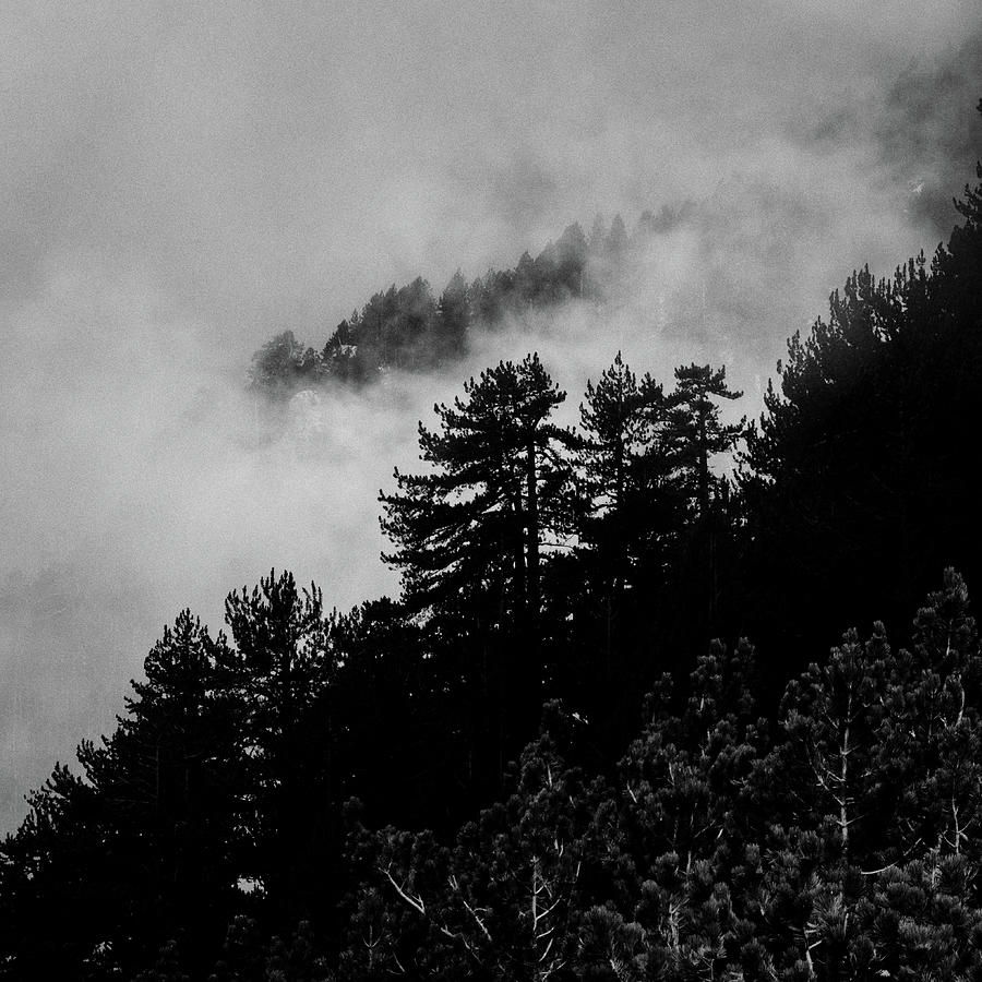 Misty mountain II - Olympus, Greece Photograph by George Vlachos