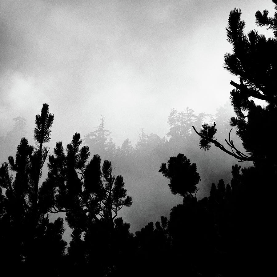 Misty mountain IV - Olympus, Greece Photograph by George Vlachos