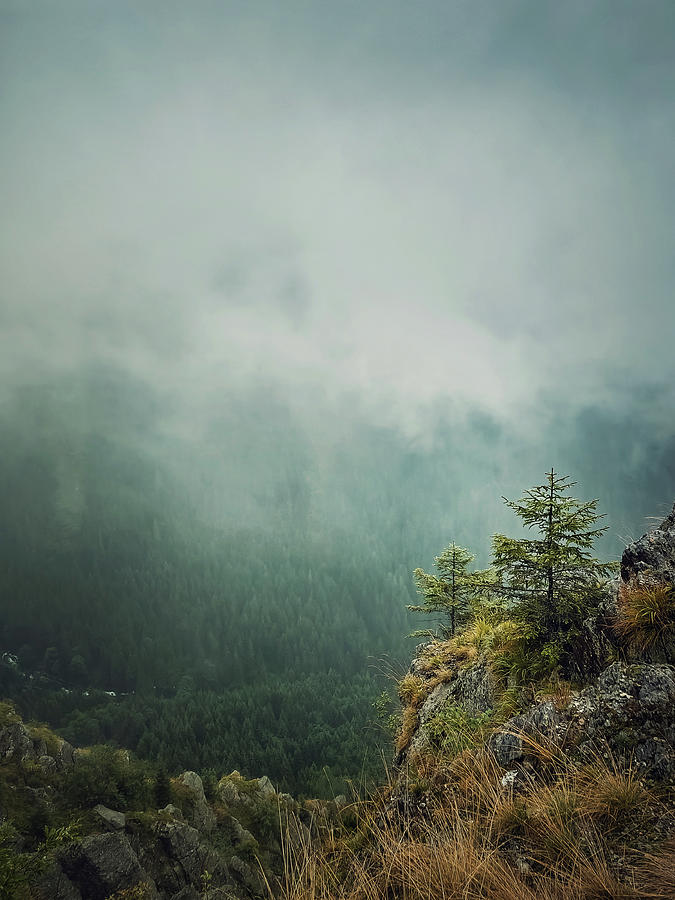 Misty Mountain Peak Photograph by PsychoShadow ART - Fine Art America