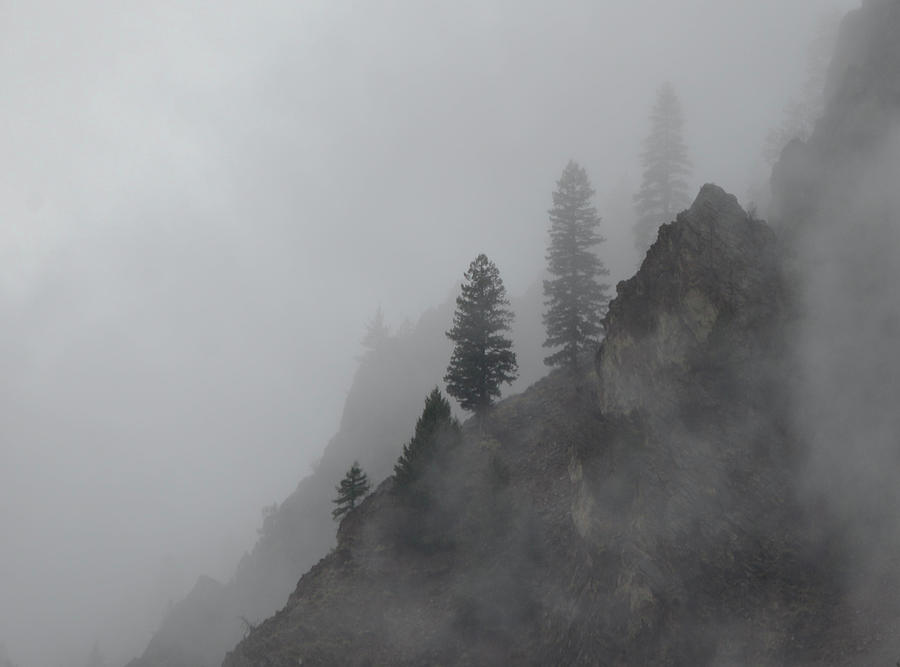 Misty Mountains Cold Photograph