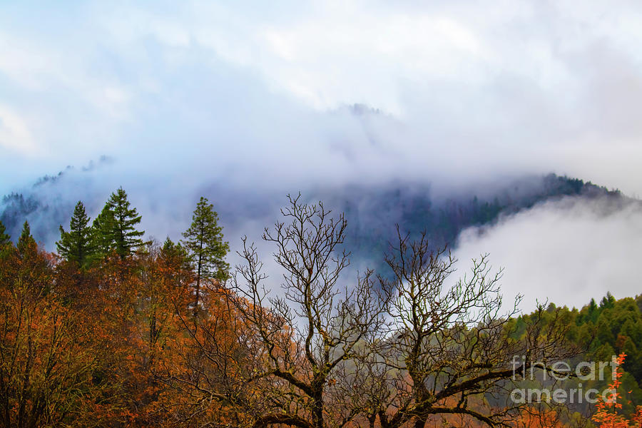 Misty Mountains with Autumn Foliage Photograph by Susan Vineyard