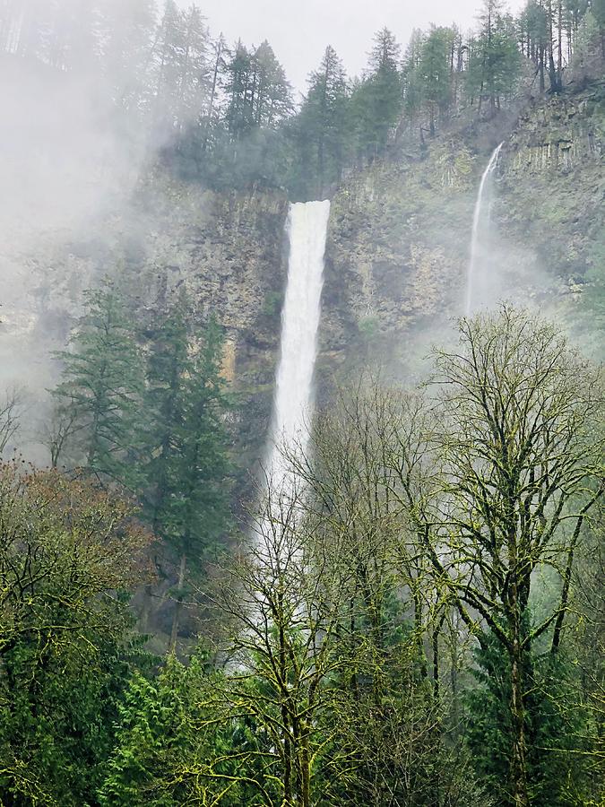 Misty Multnomah Falls, Oregon Photograph by Tatiana Travelways