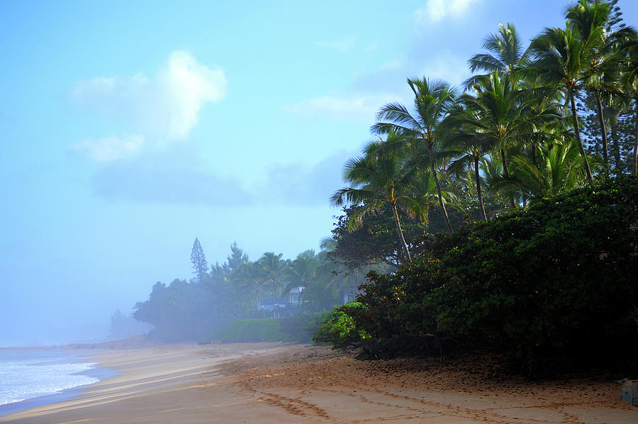 https://images.fineartamerica.com/images/artworkimages/mediumlarge/3/misty-north-shore-beach-derek-winters.jpg