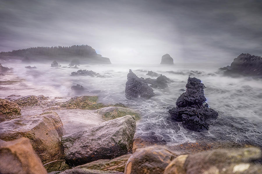 misty Oregon Photograph by Bill Posner