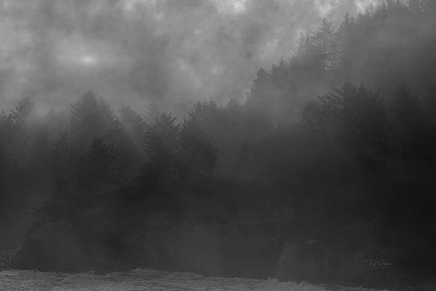 Misty Oregon Coast Photograph by Bill Posner