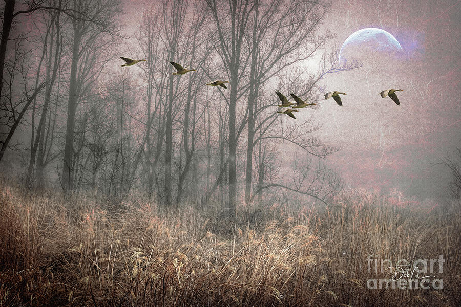Misty pink with Geese Digital Art by Deb Nakano