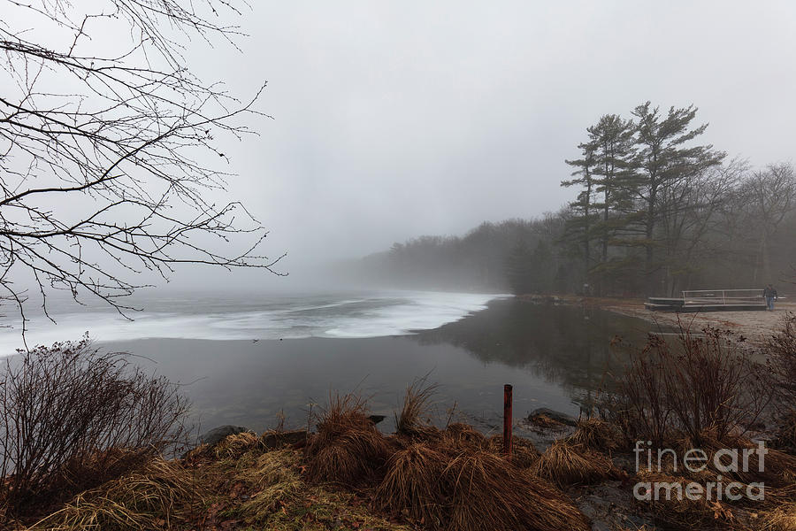 Nature Photograph - Misty Rain at the Lake by Renata Natale