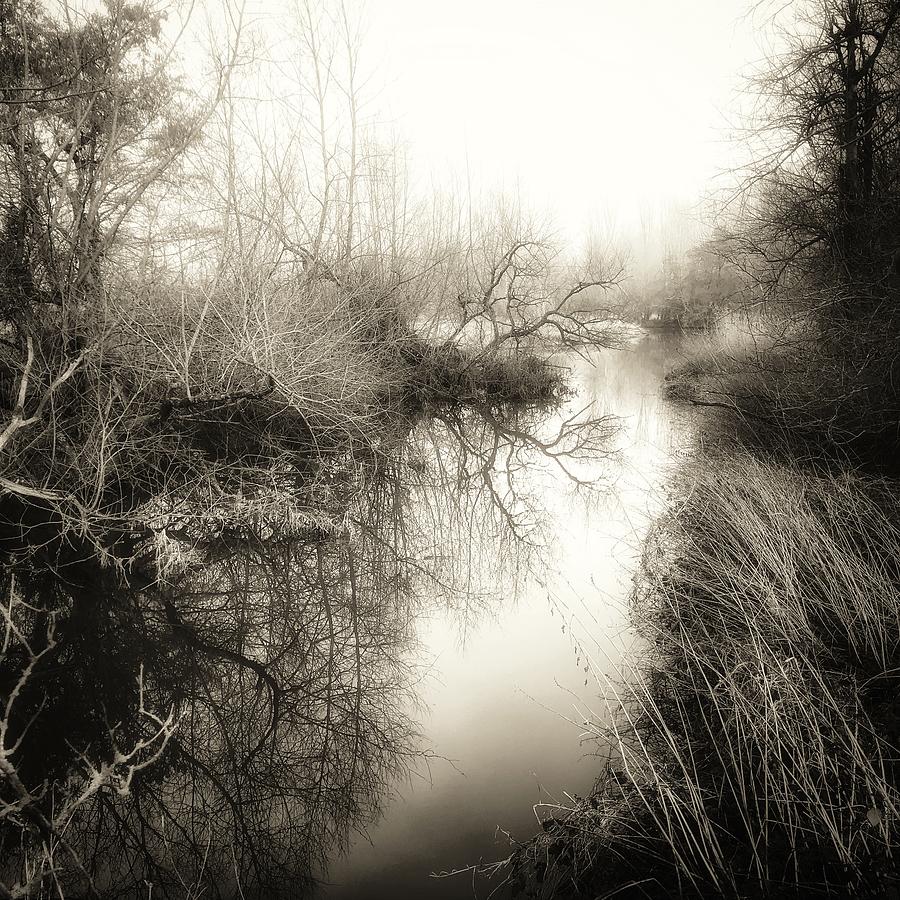 Misty river  Photograph by Chris Clark