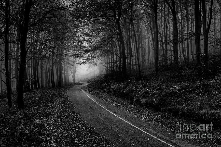 Misty road 2 Photograph by Plamen Petkov