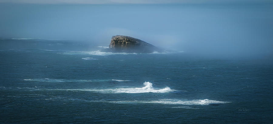 Misty Rock Photograph by Bill Posner
