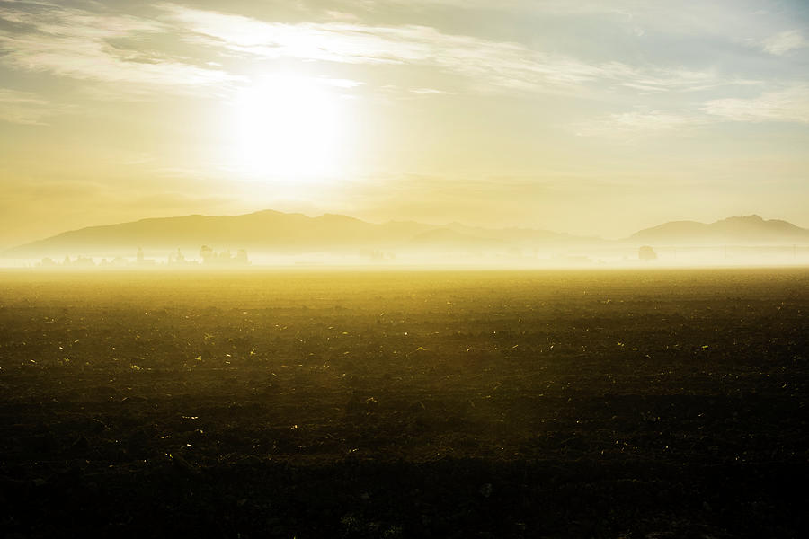 Misty Rural Sunrise Photograph