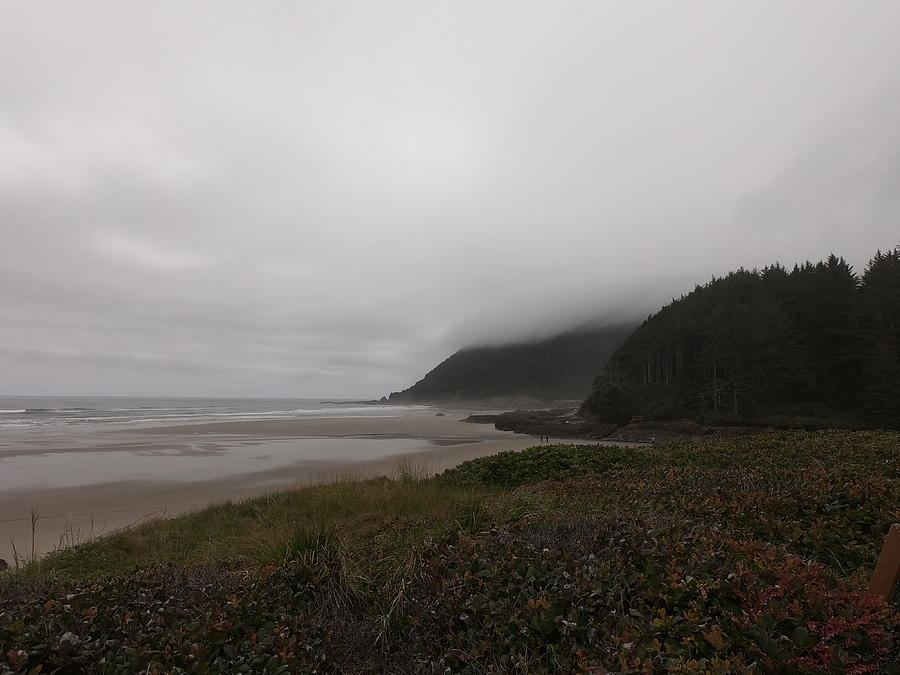 Misty Seascape Photograph by Stephanie Knight - Fine Art America