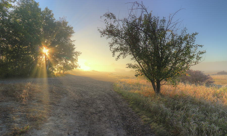 Misty September Sunrise Photograph by Jim Sauchyn