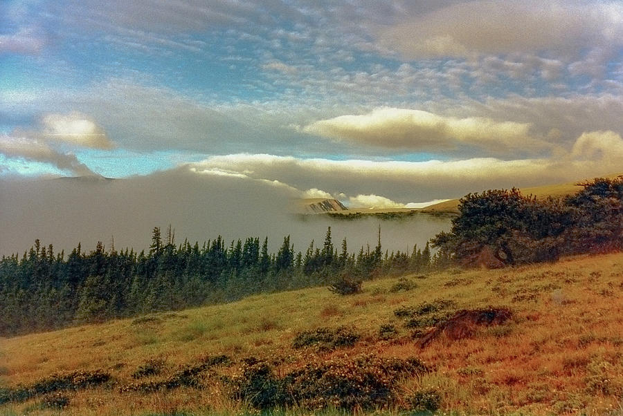Misty Slope At Mt Bross Photograph